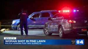 Pinelawn Food Market Shooting, St. Louis, MO Leaves One Woman Injured.