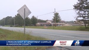 Fairview Gardens Apartments Shooting, Anderson, SC, Injures One Person.