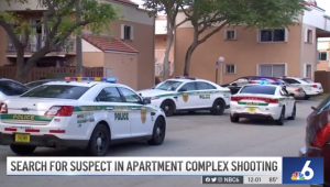 Luis Hernandez Fatally Injured in Miami, FL Apartment Complex Shooting.