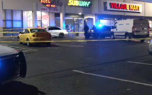 Woman Seriously Injured in Shooting at Frayser Boulevard Shopping Center in Memphis, TN.